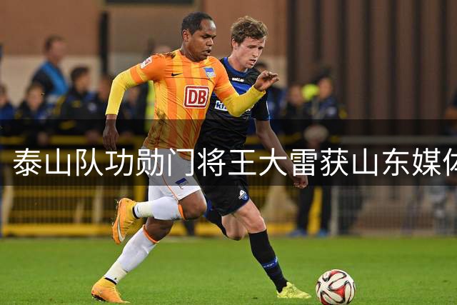 泰山队功勋门将王大雷获山东媒体力挺：真球迷不该指责他